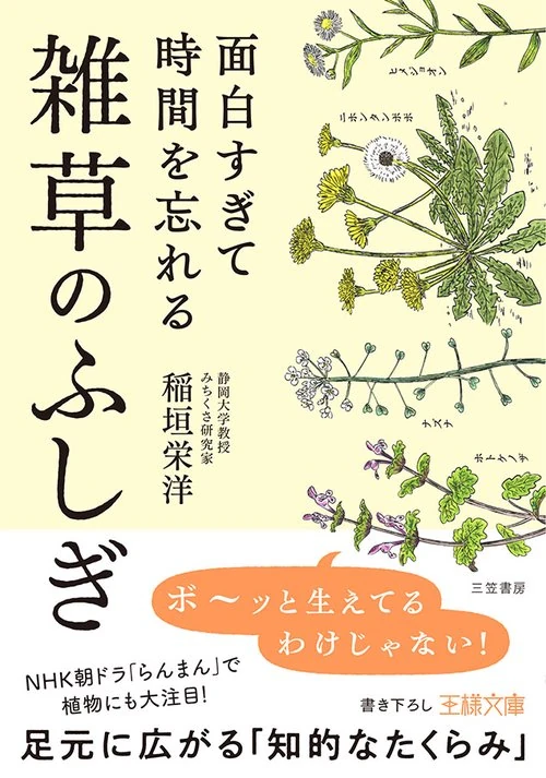 面白すぎて時間を忘れる雑草のふしぎ